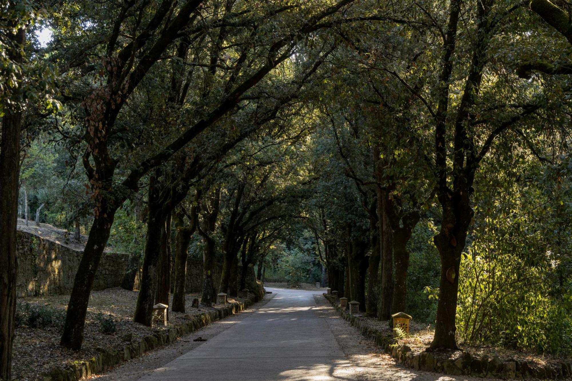 Borgo Dei Conti Resort Relais & Chateaux Perugia Zewnętrze zdjęcie